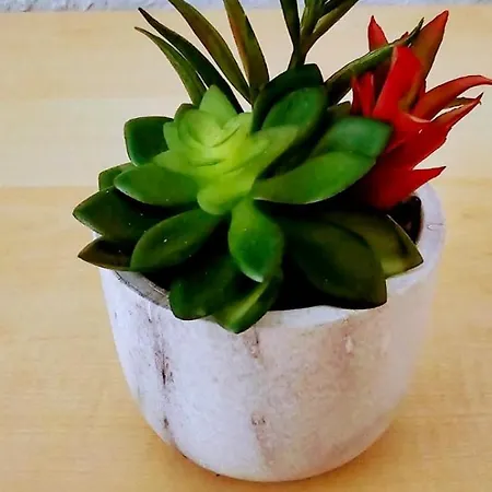 Cozy Spacious Near Halle Hbf With Free Wi-fi Privatunterkunft Halle (Saale)