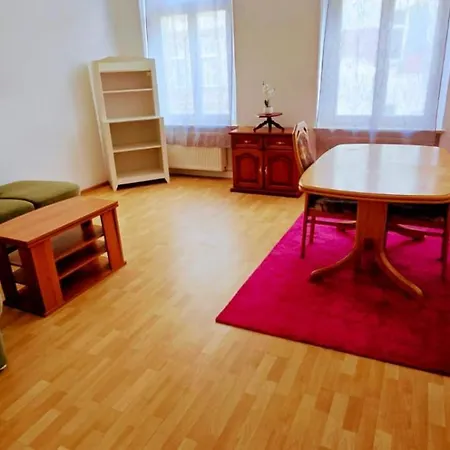 Cozy Spacious Near Halle Hbf With Free Wi-fi * Halle (Saale)