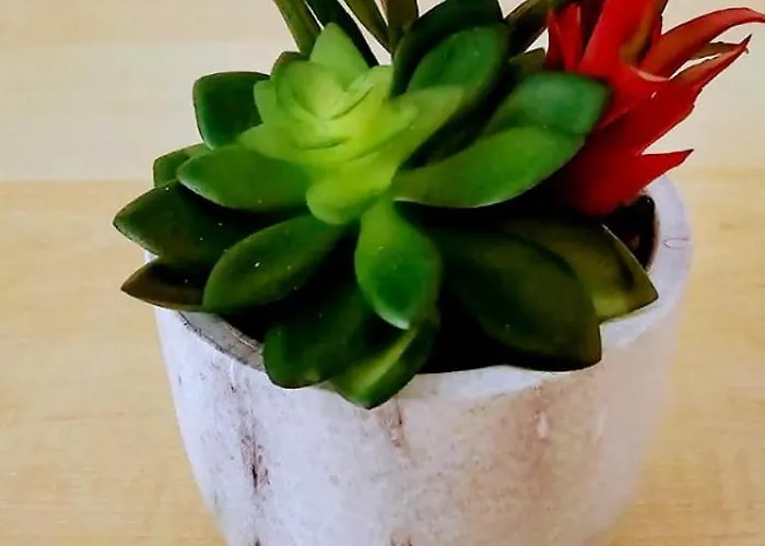 Cozy Spacious Near Halle Hbf With Free Wi-fi Pansiyon Halle (Saale)